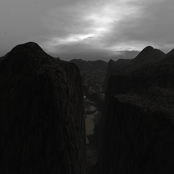 Swamp over view